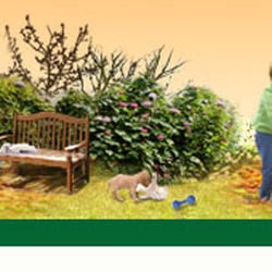 Point Vert Le Jardin