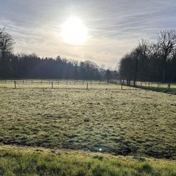 Forstgut Rehrhof - Paddock