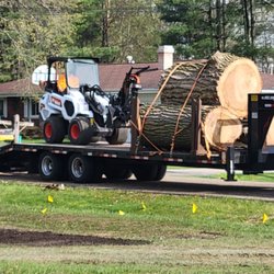 Ellis Hardwoods Tree Service Division