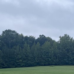 Taylor Farm Park