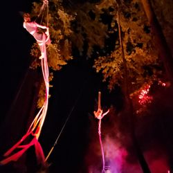 A-WOL Dance Collective - 7/24/2025 - Art in the Dark: 10 Laws by AWOL in Mary S Young Park in West Linn.