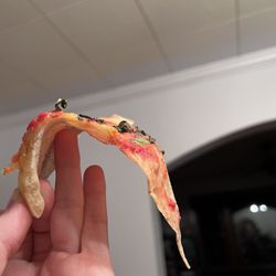 Peel Wood Fired Pizza - What is this? It surely isn't pizza
