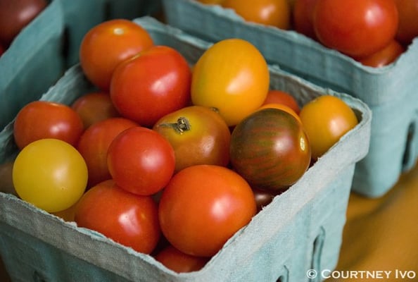 Lincoln Square Farmers Market by null
