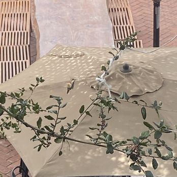 Cafe on 27 - Hummingbird - Breakfast & Brunch Near Me - Topanga, California