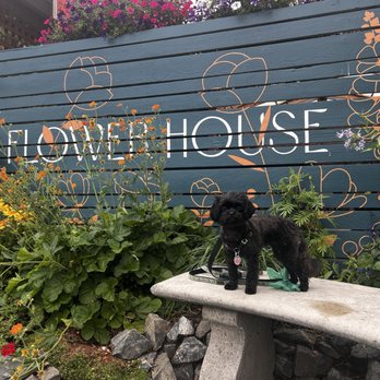 Flower House Cafe - Puppy friendly! - New American Near Me - Langley, Washington