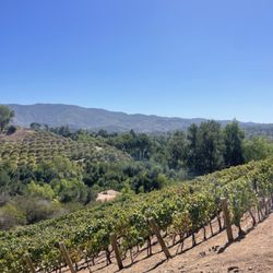 End of the Road Winery - Vineyards