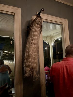 Justine's Secret House by null