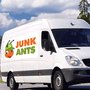 Photo of Junk Ants Dunfermline