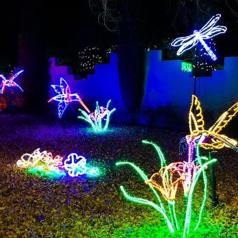 River Of Lights - Festivals Near Me - Albuquerque, New Mexico