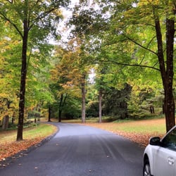 Kripalu Healing Arts - Winding road in Kripalu leading to main building