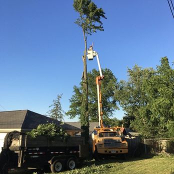 Swell Emergency Tree Removal Service - Tree Services Near Me Swell Emergency Tree Removal Service - Tree Services Near Me