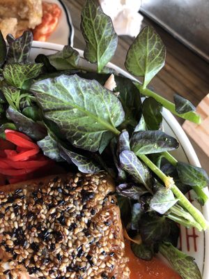 Miyuki's Noodle Shop by null