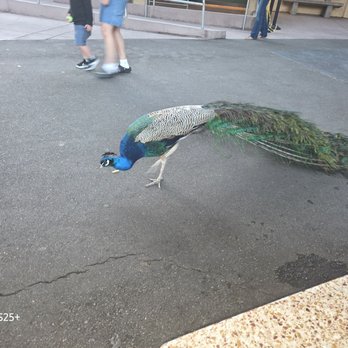 Castle Park - Amusement Parks Near Me - Riverside, California
