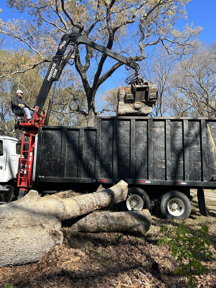 TREE SLAYERS Updated October 2024 Fayetteville, North Carolina