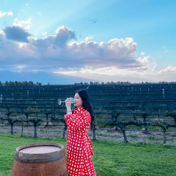 Andeluna - Wineries Near Me - Tupungato, M