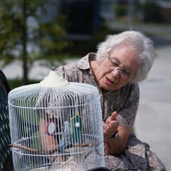 Homecare Professionals - Personal Care Services Near Me - Red Bluff, California Homecare Professionals - Personal Care Services Near Me - Red Bluff, California