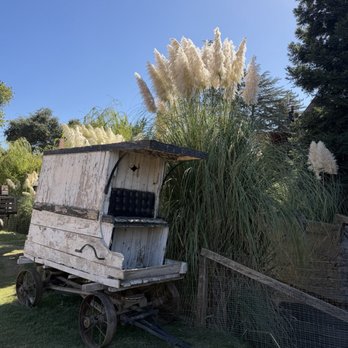 Fog Willow Farms - Attraction Farms Near Me - Wilton, California Fog Willow Farms - Attraction Farms Near Me - Wilton, California
