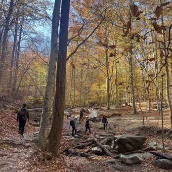 Patapsco Valley State Park - Parks Near Me - Ellicott City, Maryland
