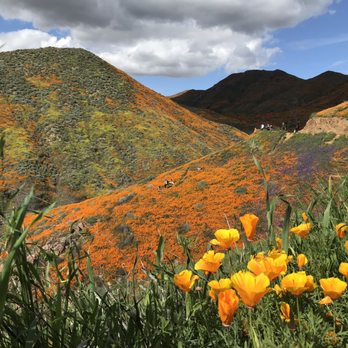 Walker Canyon Ecological Reserve - Wildlife Hunting Ranges Near Me