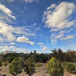 Attorney Peter M Liss - The view from the office mid-day.