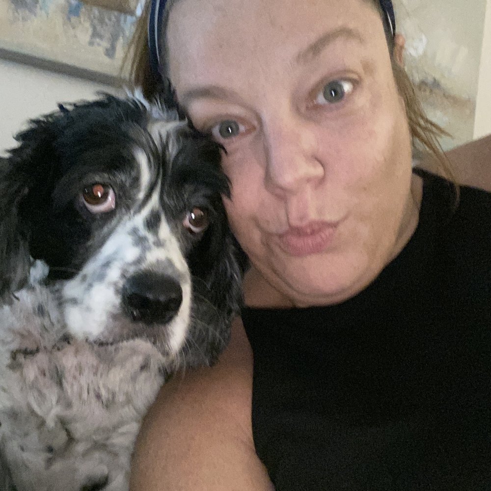 Camp Cocker Rescue - Selfie time! - Animal Shelters Near Me - Los Angeles, California Camp Cocker Rescue - Selfie time! - Animal Shelters Near Me - Los Angeles, California