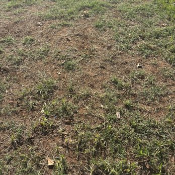 Watson's Weed Control - Bare spots - Lawn Services Near Me - Piedmont, Oklahoma Watson's Weed Control - Bare spots - Lawn Services Near Me - Piedmont, Oklahoma