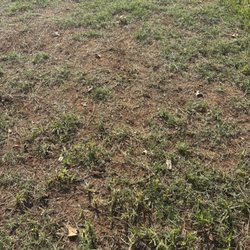 Watson's Weed Control - Bare spots