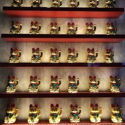 Wok on Inn Street Noodle Bar Sydney Olympic Park - The Prosperous Kitty Wall