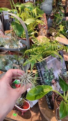 Atticus Coffee & Gifts by null