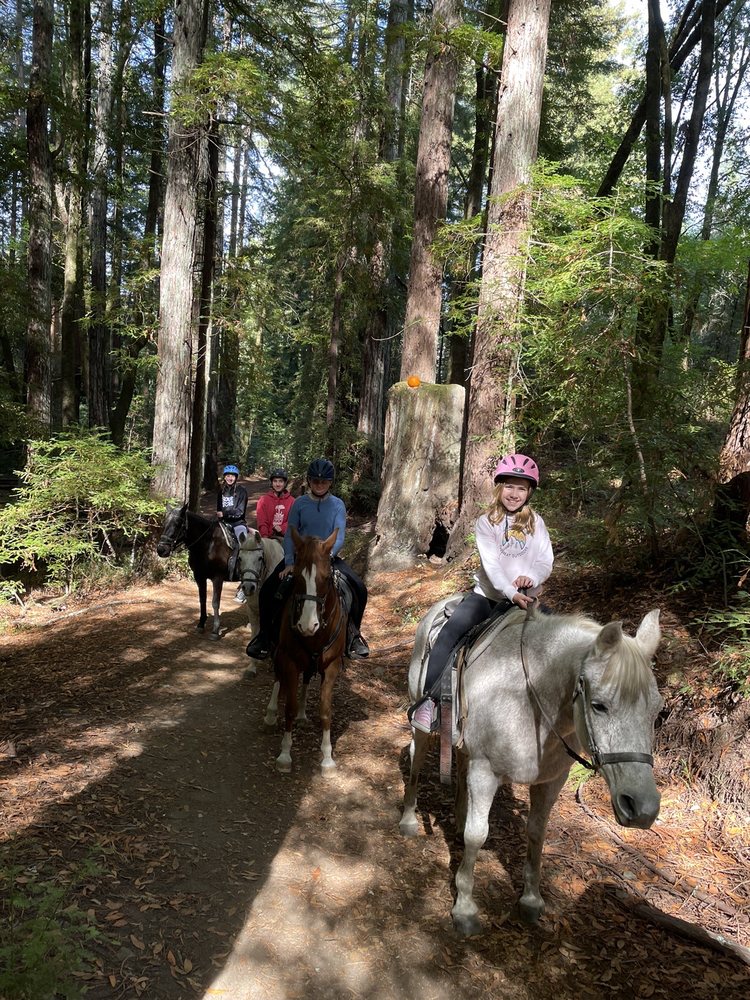 Point Reyes Arabian Adventures - equestrian in Point Reyes Station, CA