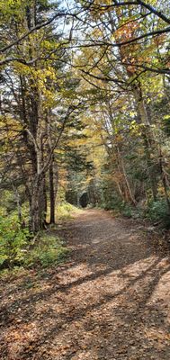 Forillon National Park by null