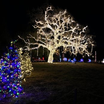 Holiday Road - This tree was massive - Festivals Near Me - Calabasas, California Holiday Road - This tree was massive - Festivals Near Me - Calabasas, California