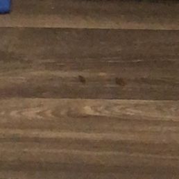 Roaches Roaches