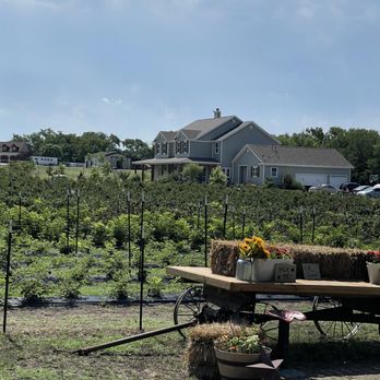 Sunset Trail Farm - Pick Your Own Farms Near Me - McKinney, Texas