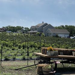 Sunset Trail Farm