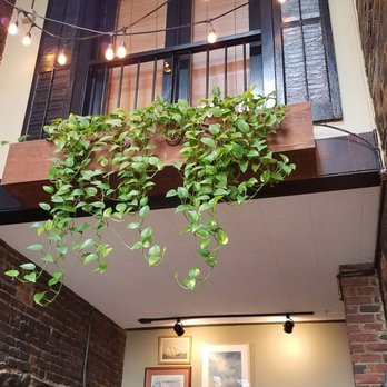 Chadwicks - American Near Me - Alexandria, Virginia