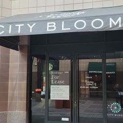 City Bloom Florist