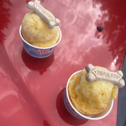 Pelican's Snoballs - Pup cups