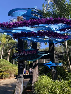 SHARK ENCOUNTER - Updated December 2024 - 234 Photos & 15 Reviews