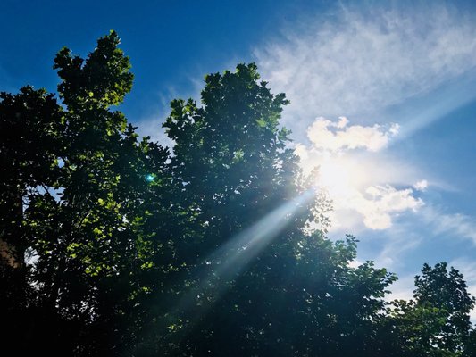 Corktown Common by null