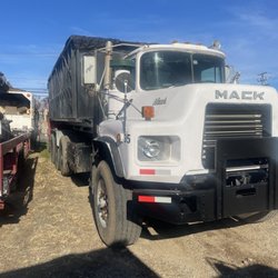 Marcelo's Tree Removal - My 30 yards dumpster
