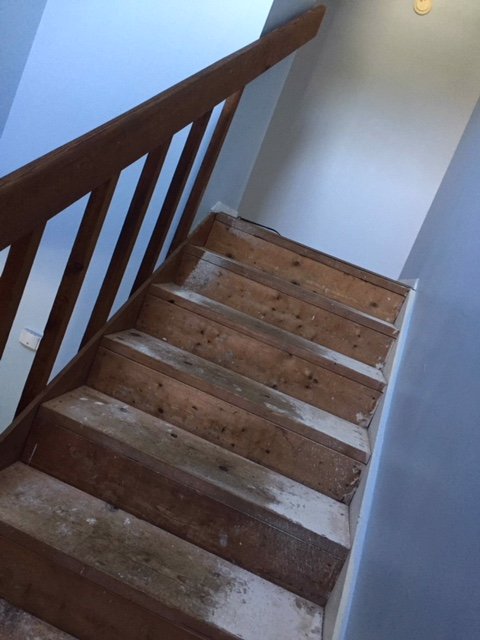 Slide of DSG Cleaning