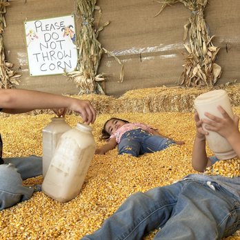 Galloping Goat Pumpkin Patch - Corn pit play time! - Pumpkin Patches Near Me - Rio Rancho, New Mexico