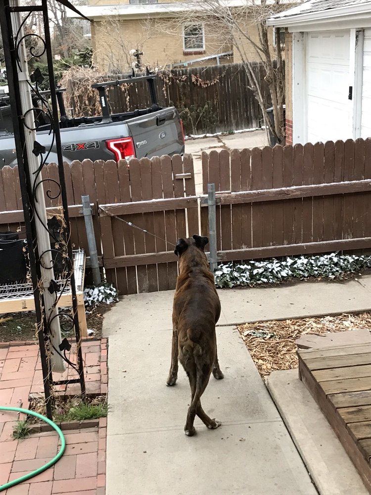 COLORADO VETERINARY SPECIALTY GROUP WomenOwned 11 Photos & 55