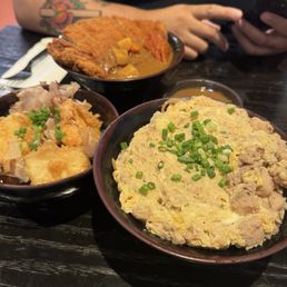 Oyakodon - Chicken & Egg Rice Bowl Curry Chicken Katsudon Rice Bowl Agedashi Tofu Oyakodon - Chicken & Egg Rice Bowl Curry Chicken Katsudon Rice Bowl Agedashi Tofu