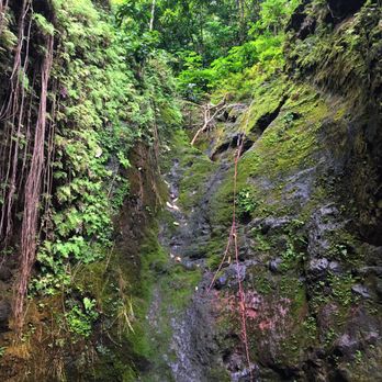 Makaua Falls Trail - About a 30-40 foot rope climb (incredibly slippery)...Aloha :) - Hiking Near Me - Kaaawa, Hawaii Makaua Falls Trail - About a 30-40 foot rope climb (incredibly slippery)...Aloha :) - Hiking Near Me - Kaaawa, Hawaii