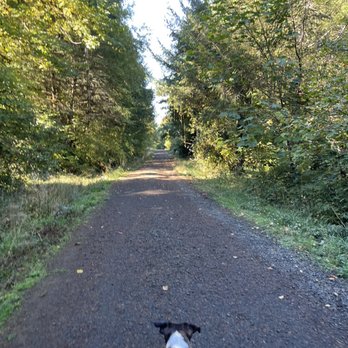 Futton Green Nature  trail - Hiking Near Me - Philomath, Oregon