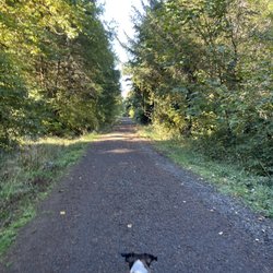 Futton Green Nature  trail