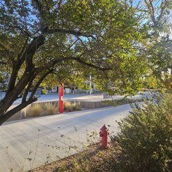 College of Southern Nevada
