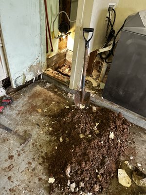 Plumbers Near Me - Pro Rooter Logo